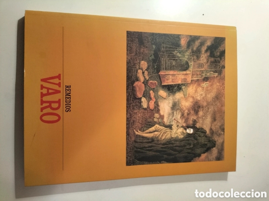 Libros de segunda mano: Remedios Varo (Cat&aacute;logo exposici&oacute;n, Fundaci&oacute;n Banco Exterior, Madrid 1988-1989)
