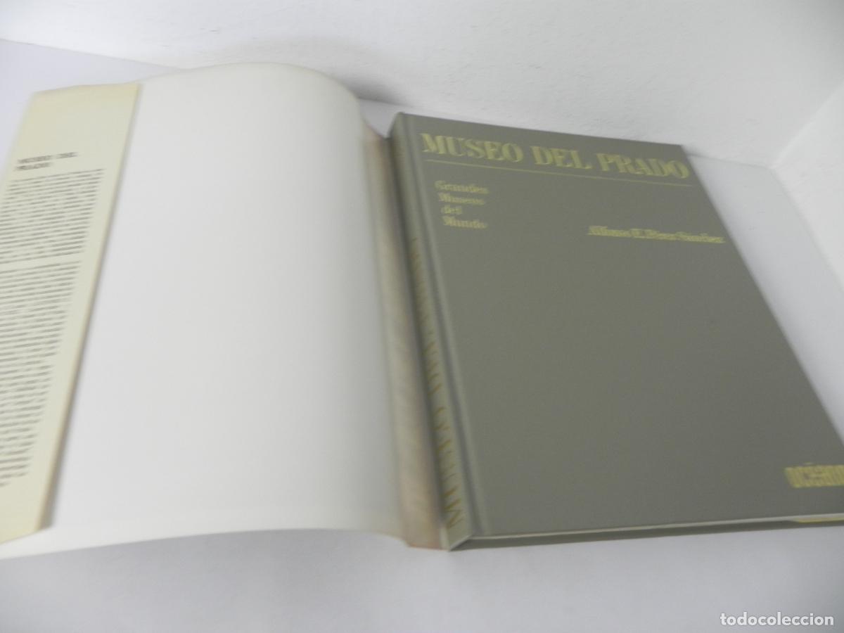 Libros de segunda mano: MUSEO DEL PRADO (ALFONSO E. P&Eacute;REZ S&Aacute;NCHEZ) OC&Eacute;ANO-1982 - Foto 3