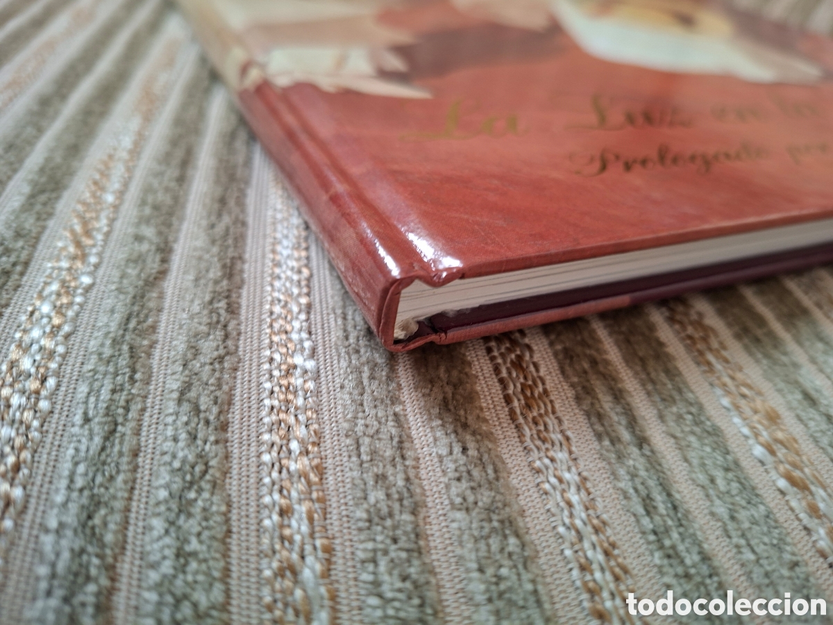 Libros de segunda mano: LA LUZ EN LA PINTURA - Foto 11