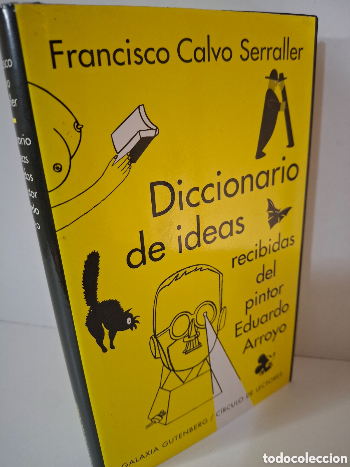 Gebrauchte B&uuml;cher: DICCIONARIO DE IDEAS RECIBIDAS DEL PINTOR EDUARDO ARROYO, FRANCISCO CALVO SERRALLER, 1998