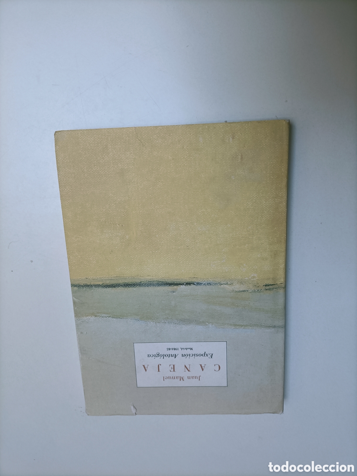 Libros de segunda mano: Jos&eacute; Manuel Caneja. Exposici&oacute;n antol&oacute;gica Madrid