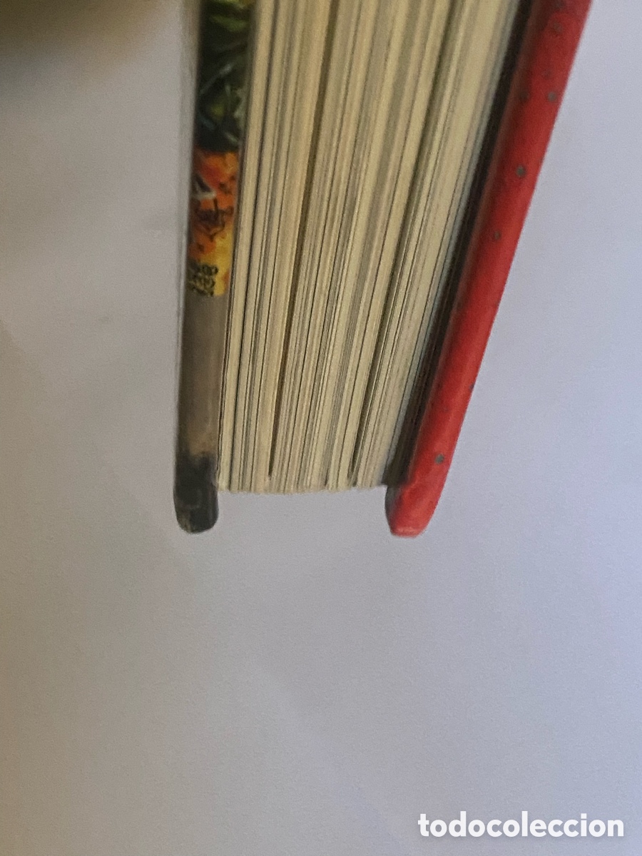 Libros de segunda mano: Graffiti Mujer - GG - Arte - Foto 14