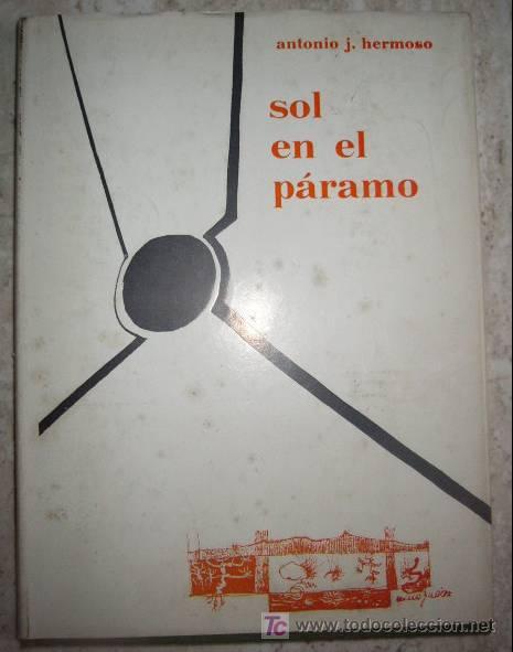 Libros de segunda mano: SOL EN EL PARAMO. ANTONIO J. HERMOSO. PREMIO ATZAVARA. BARCELONA, 1969. 2&ordf; ED. ILUSTRACIONES DE