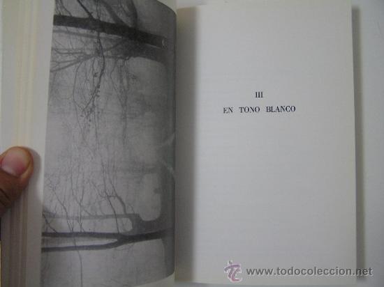 Libros de segunda mano: ojos de gorrion, ibarguengoitia, 1990,  ref poesia bs5 - Foto 5