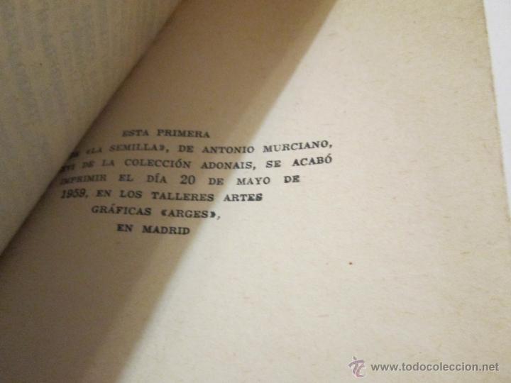 Libros de segunda mano: LA SEMILLA - ANTONIO MURCIANO - 1959 - Foto 2