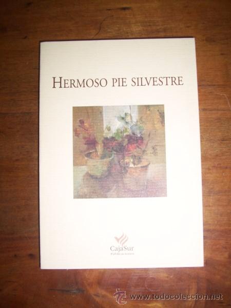 Gebrauchte B&uuml;cher: HERMOSO PIE SILVESTRE. (Los Cuadernos de Sandua ; 78)