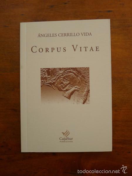 Libri di seconda mano: CERRILLO VIDA, &Aacute;ngeles. Corpus Vitae. (Los Cuadernos de Sandua ; 141)