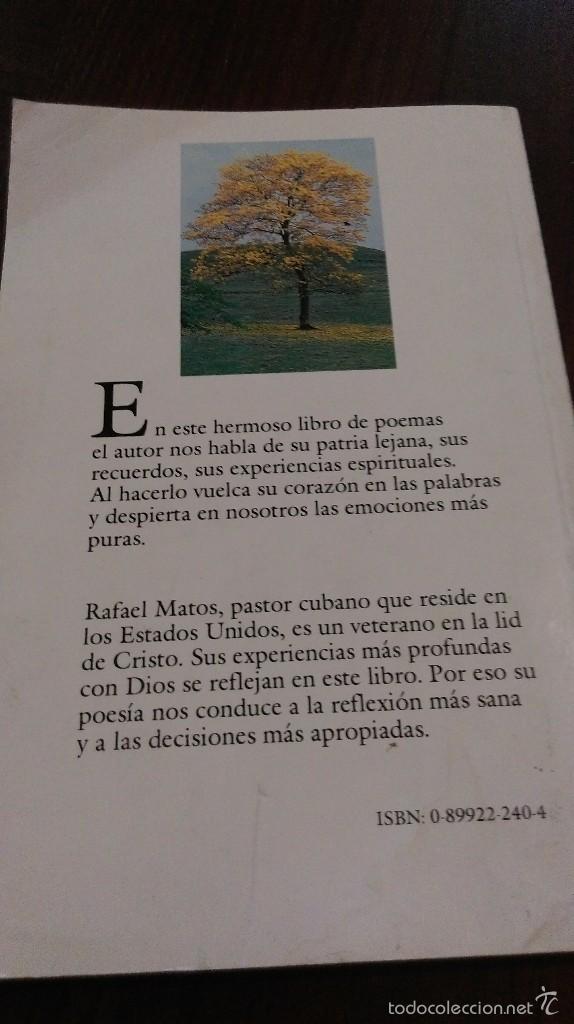 Libros de segunda mano: A los cuatro vientos. Rafael Matos - Foto 2