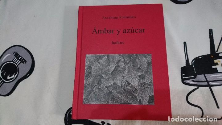 Libros de segunda mano: &Aacute;MBAR Y AZ&Uacute;CAR, HAIKUS, ANA ORTEGA ROMANILLOS