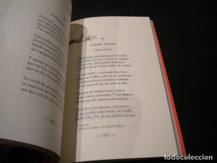 Libros de segunda mano: sonetos / antonio portero / dedicado - Foto 4