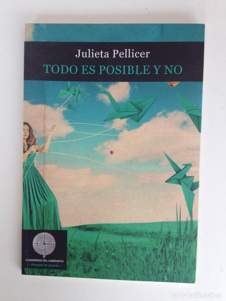 Gebrauchte B&uuml;cher: TODO ES POSIBLE Y NO - JULIETA PELLICER