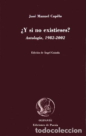 Libros de segunda mano: CAP&Ecirc;LO, Jos&eacute; Manuel.  &iquest;Y si no existieses?.  2003.