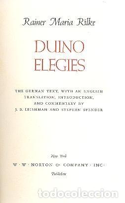 Libros de segunda mano: DUINO ELEGIES RAINER MARIA RILKE NORTON CO - Foto 1