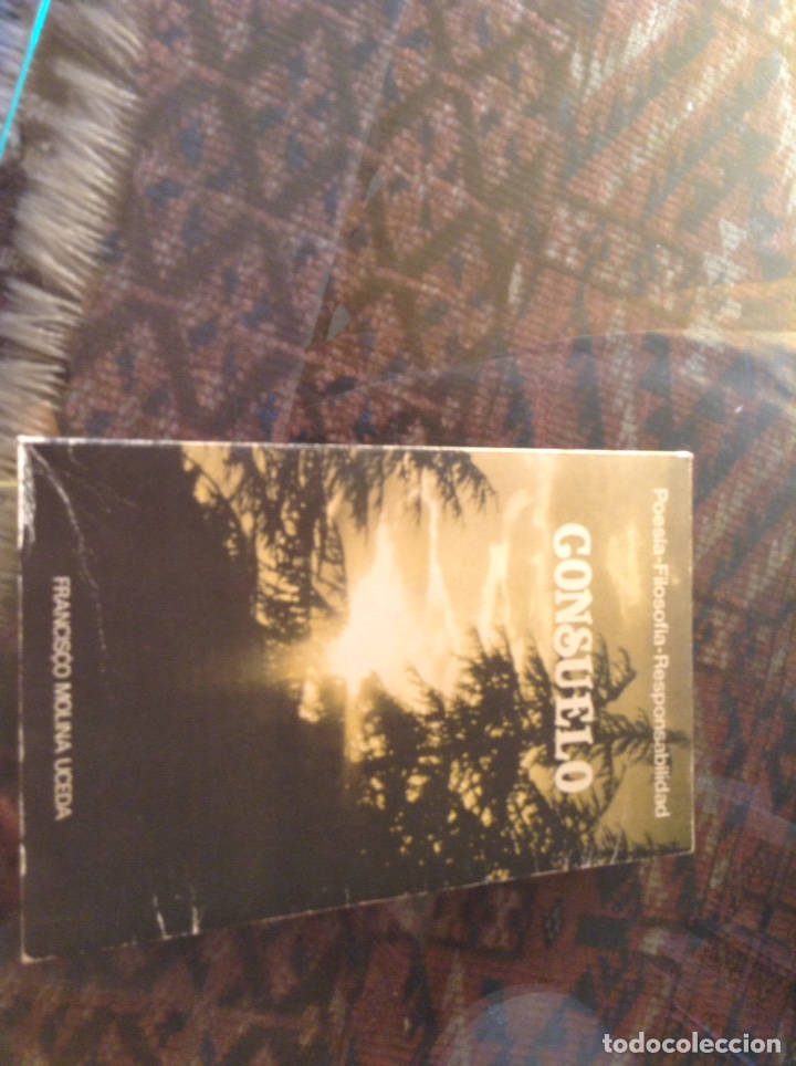 Libros de segunda mano: Consuelo - Foto 1