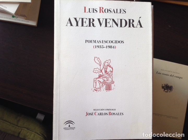 Libros de segunda mano: Ayer vendr&aacute;. Luis Rosales - Foto 1