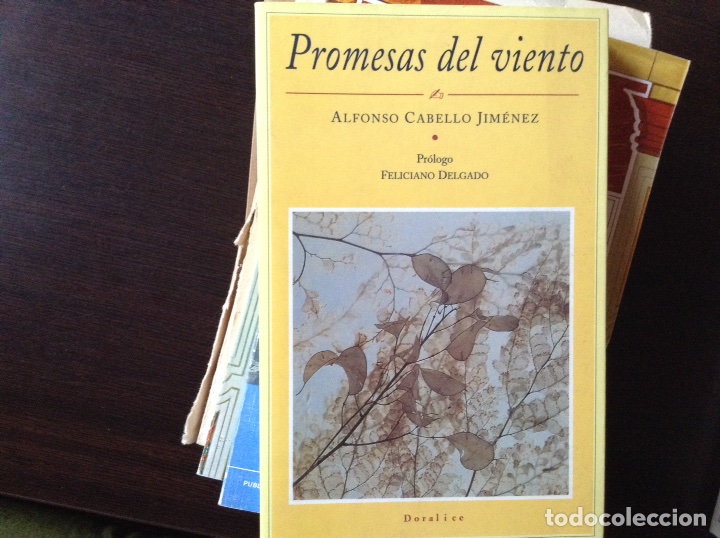 Libros de segunda mano: Promesas del,viento. Alfonso Cabello - Foto 1