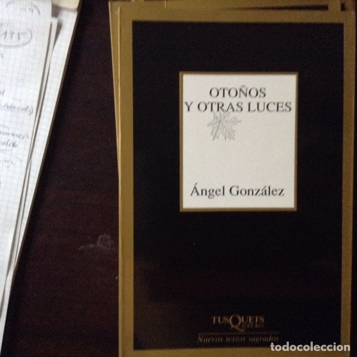 Libros de segunda mano: Oto&ntilde;os y otras luces. &Aacute;ngel Gonz&aacute;lez - Foto 1
