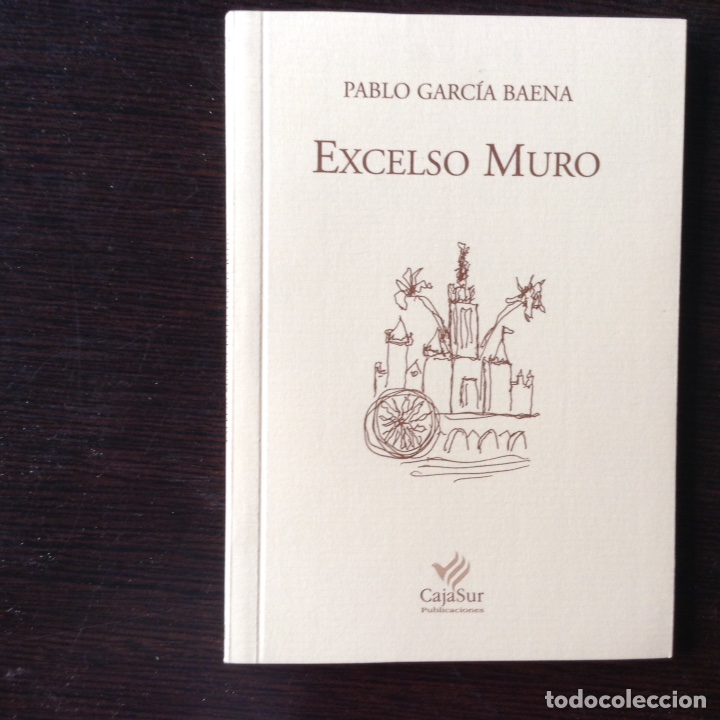 Libros de segunda mano: Excelso muro. Pablo. Garc&iacute;a Baena - Foto 1