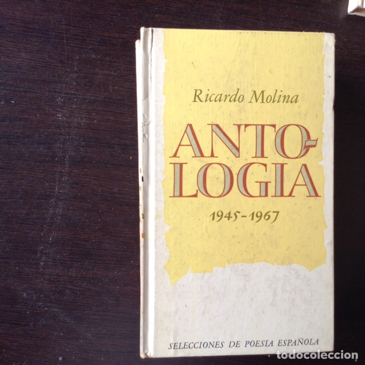 Libros de segunda mano: Ricardo Molina. Antolog&iacute;a - Foto 1