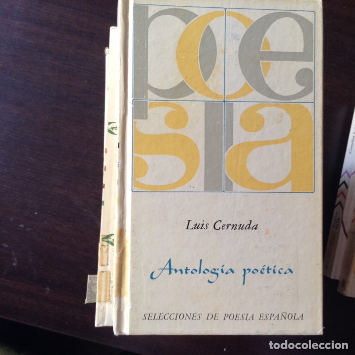 Libros de segunda mano: Luis Cernuda. Antolog&iacute;a po&eacute;tica - Foto 1