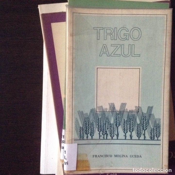 Libros de segunda mano: Trigo azul. Francisco Molina Uceda - Foto 1