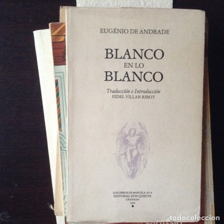 Libros de segunda mano: Blanco en lo blanco. Eugenio de Andrade - Foto 1