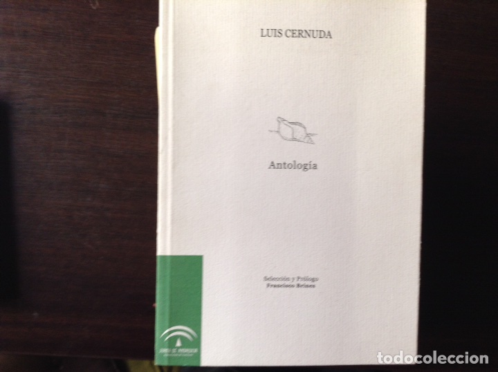 Libros de segunda mano: Luis Cernuda. Antolog&iacute;a - Foto 1