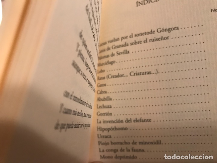 Libros de segunda mano: Bestiario. ManoloRomero - Foto 2