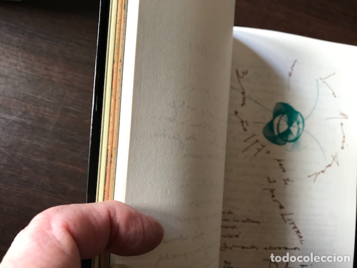 Libros de segunda mano: Litoral. Alberti - Foto 2