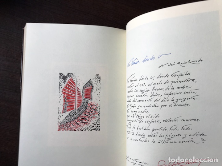 Libros de segunda mano: Litoral. Alberti - Foto 4