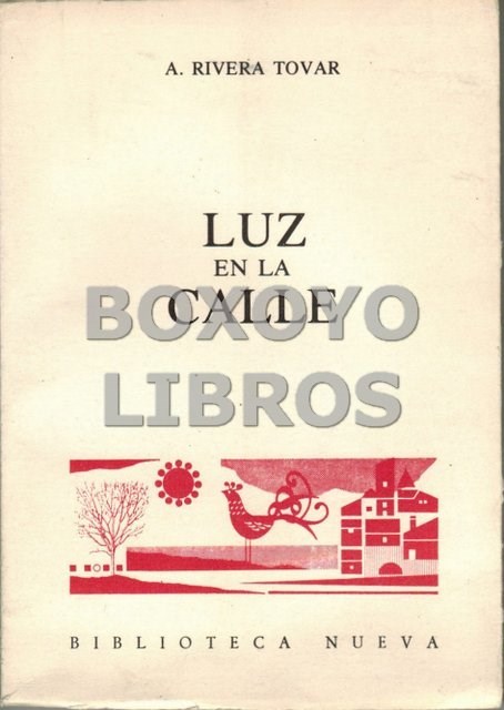 Libros de segunda mano: RIVERA TOVAR, Anunciaci&oacute;n [Bilbao]. Luz en la calle