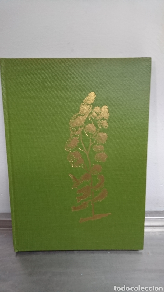 Libros de segunda mano: MI &Aacute;RBOL Lu&iacute;s Borobio - Foto 2