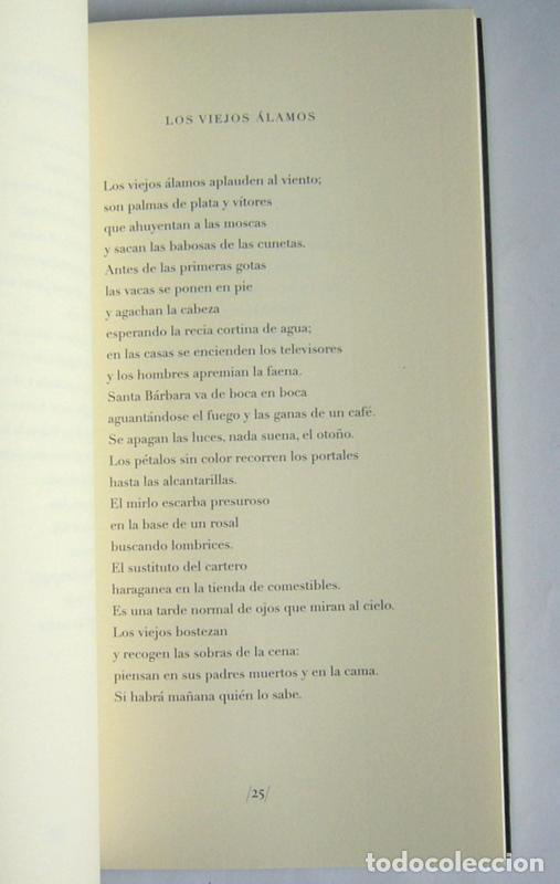Libros de segunda mano: ORO - MANUEL ROSAL - Foto 4