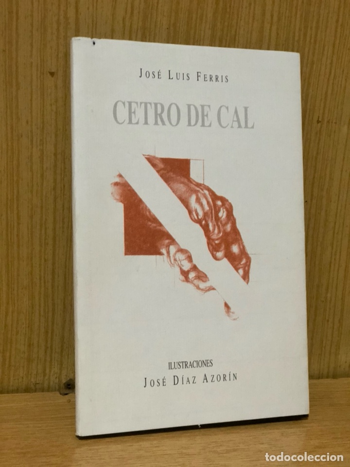 Libros de segunda mano: CETRO DE CAL &bull;&bull; JOS&Eacute; LUIS FERRIS &bull; - Foto 1