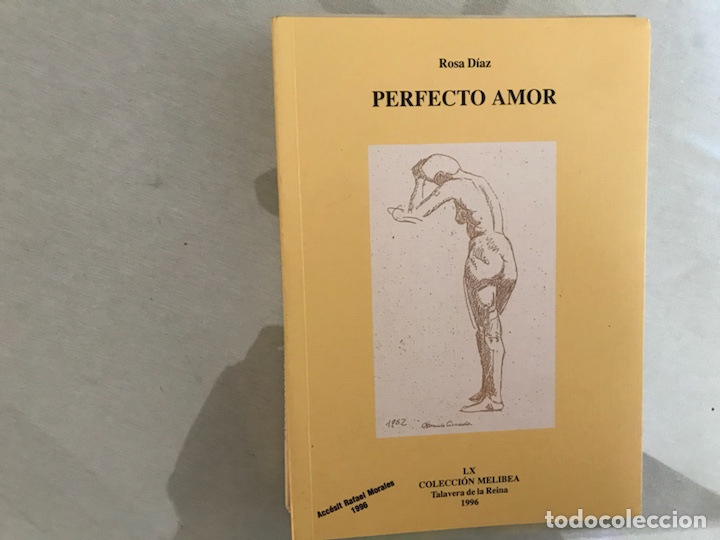 Libros de segunda mano: Perfecto amor. Rosa D&iacute;ez - Foto 1