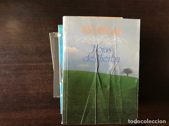 Libros de segunda mano: Hojas de hierba. Walt Whitman - Foto 1