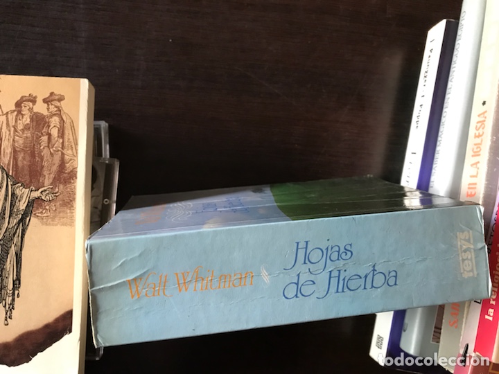 Libros de segunda mano: Hojas de hierba. Walt Whitman - Foto 2