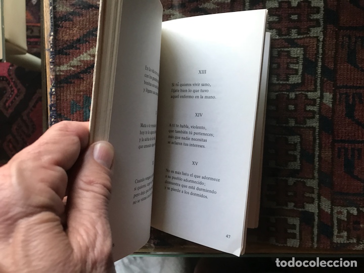 Libros de segunda mano: Trigo azul. Francisco Molina Uceda - Foto 4