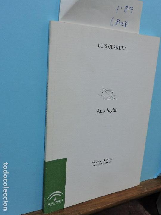 Libros de segunda mano: Antolog&iacute;a. CERNUDA, Luis. Ed. Junta de Andaluc&iacute;a. Granada 2002 - Foto 1