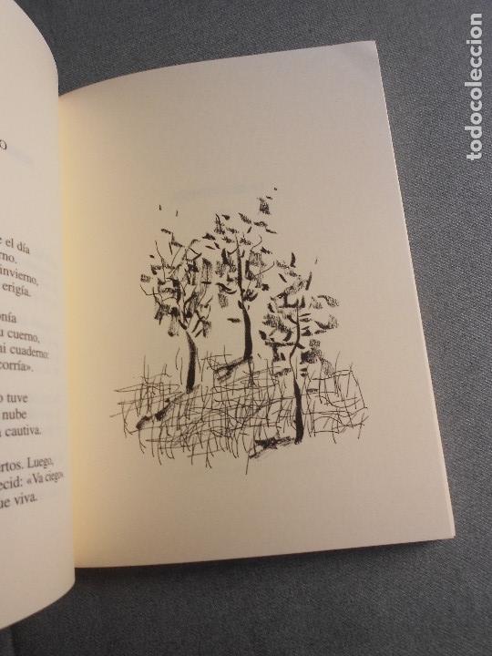 Libros de segunda mano: SONETOS. JOSE HIERRO - Foto 7