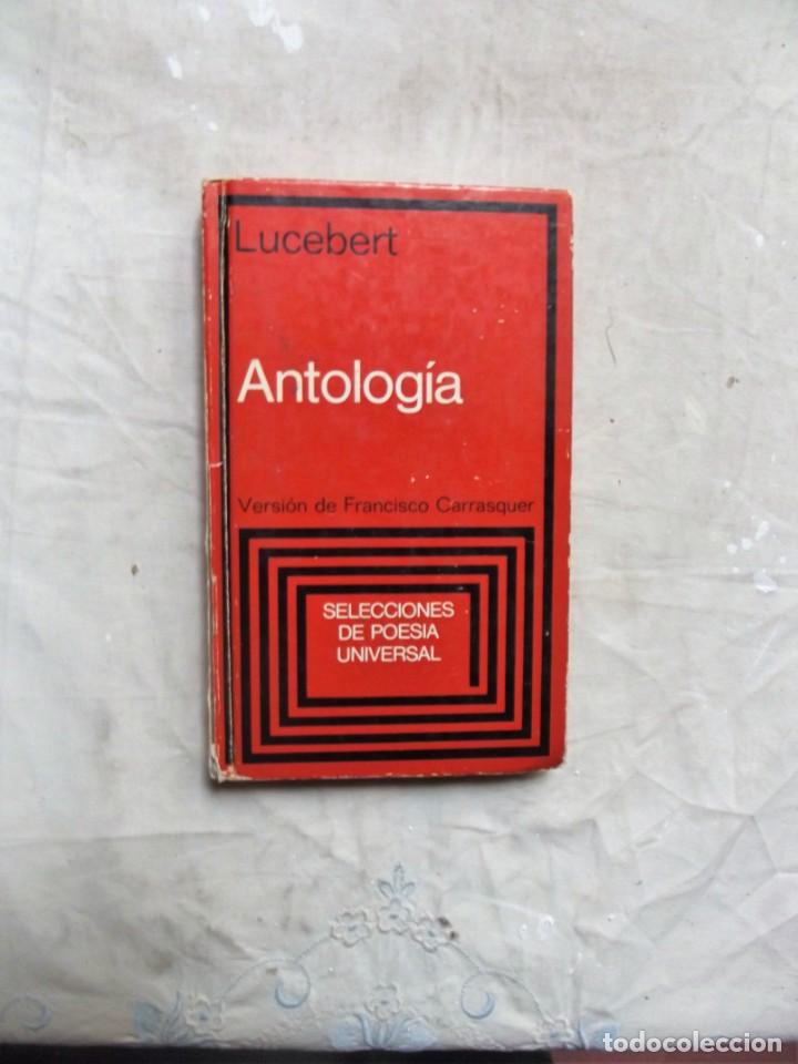 Libros de segunda mano: ANTOLOGIA DE LUCEBERT VERSION DE FRANCISCO CARRASQUER - Foto 1