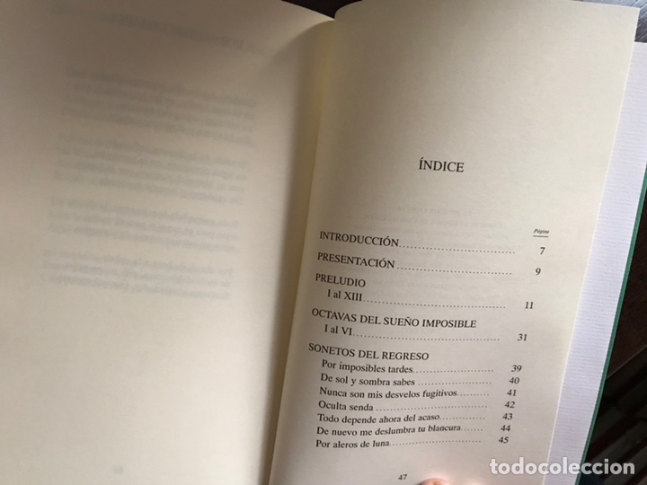 Libros de segunda mano: Campo de la verdad. Concha Lagos. Como nuevo - Foto 4