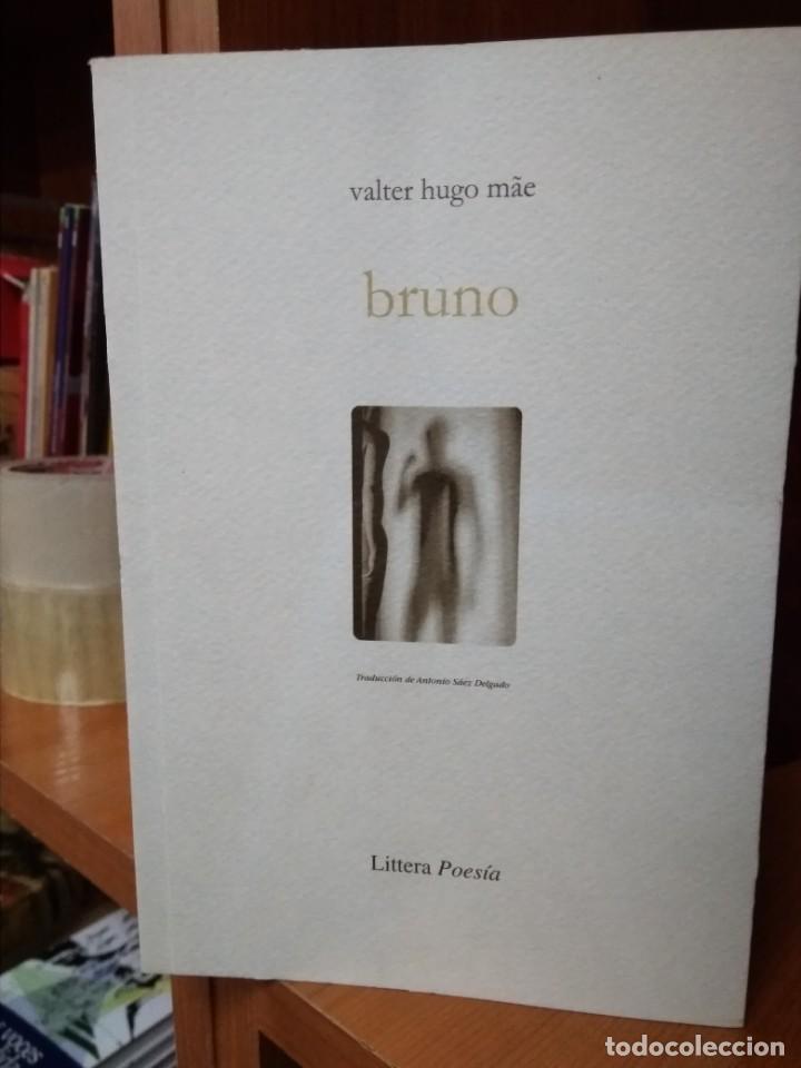 Libros de segunda mano: Bruno. Valter Hugo Mae - Foto 1
