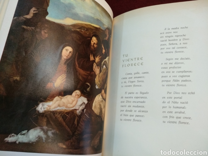 Libros de segunda mano: El libro de la virgen. Ediciones Joker - Foto 6