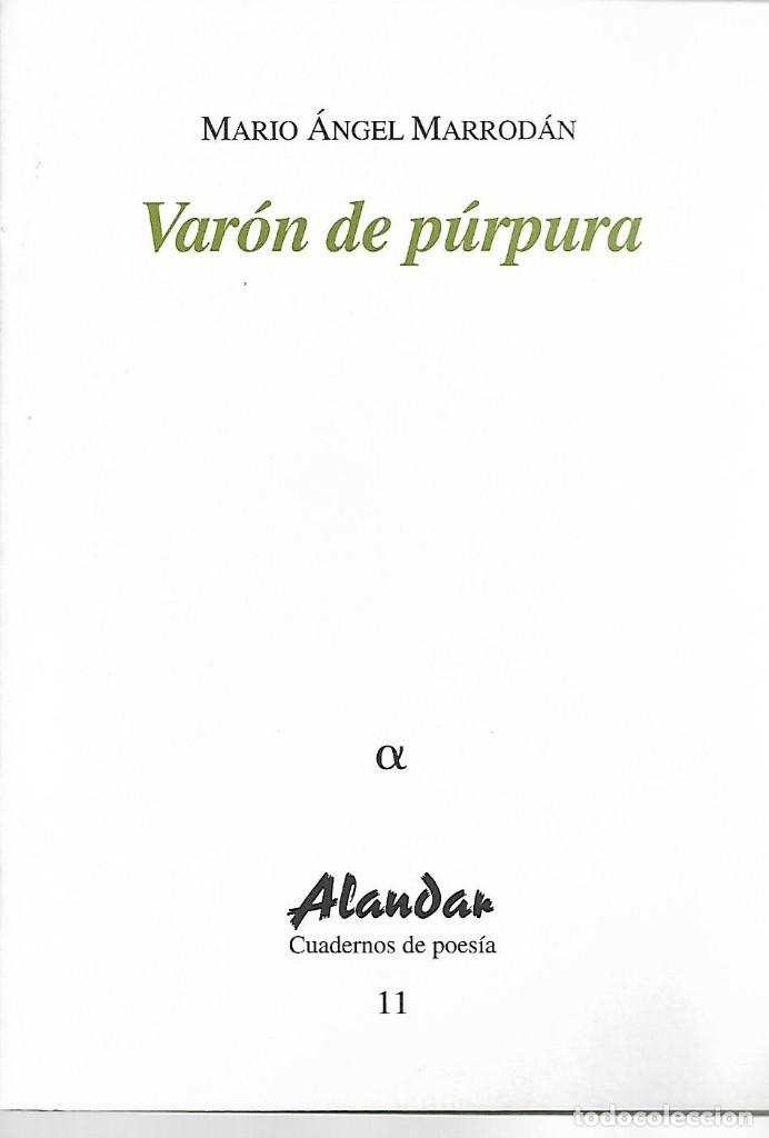Libros de segunda mano: 2000 . CUADERNOS POESIA ALANDAR.N&ordm; 11. MARIO ANGEL MARRODAN. VAR&Oacute;N DE P&Uacute;RPURA. PORTUGALETE