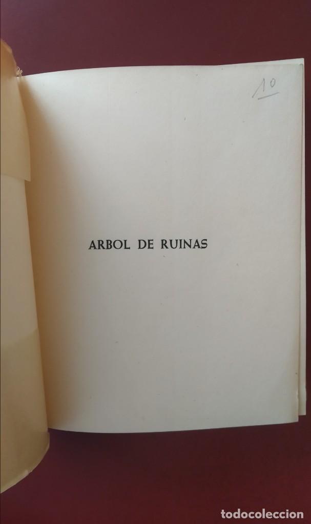 Libros de segunda mano: ARBOL EN RUINAS PASEYRO - Foto 2