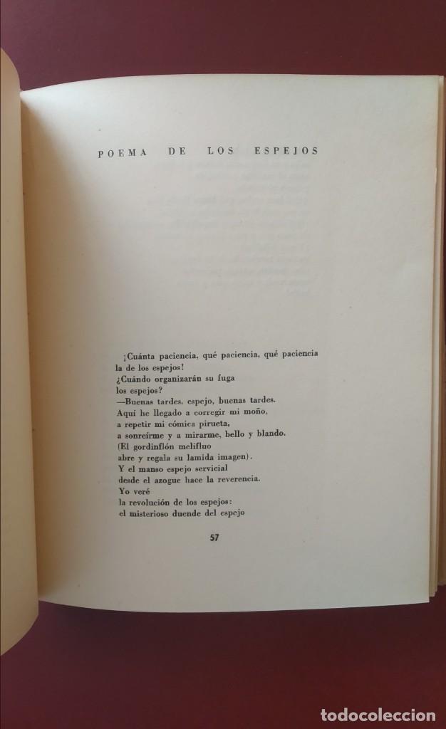 Libros de segunda mano: ARBOL EN RUINAS PASEYRO - Foto 4