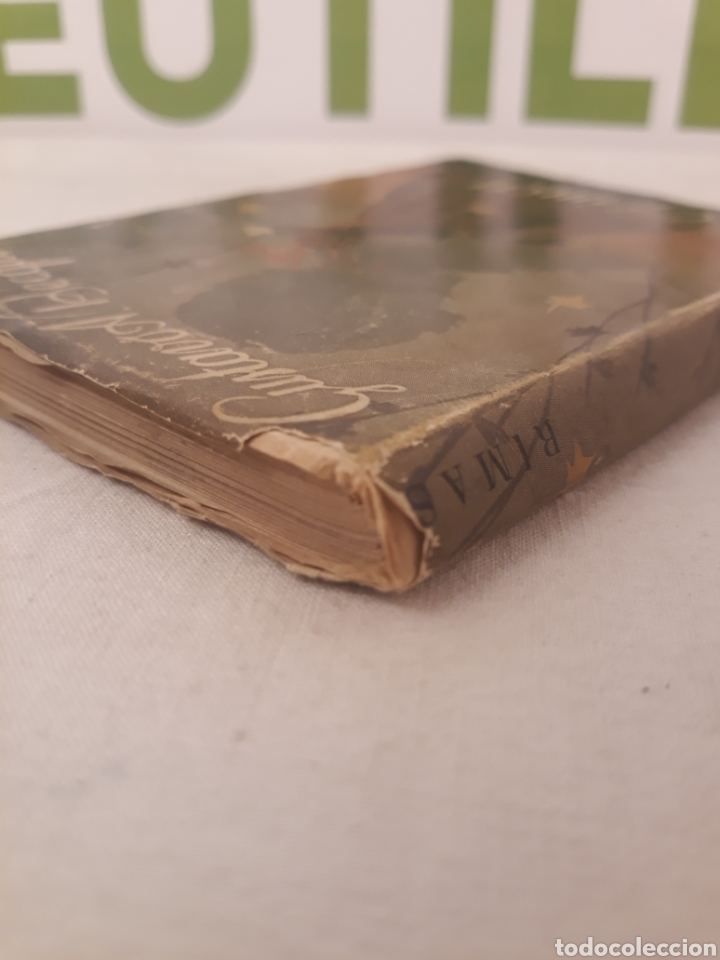 Libros de segunda mano: Gustavo Adolfo Becquer. Rimas. - Foto 7