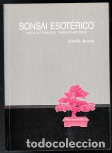 Libros de segunda mano: Bonsai esot&eacute;rico. David-Jes&uacute;s - Foto 1