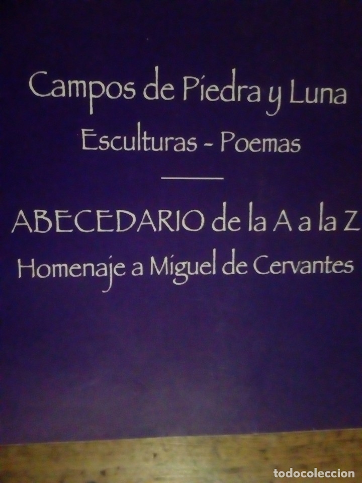 Libros de segunda mano: DIFICIL - CAMPOS DE PIEDRA Y LUNA - ESCULTURAS Y POEMAS - ABECEDARIO HOMENAJE A MIGUEL CERVANTES